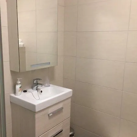 Cozy Basement Near Central Apartament
