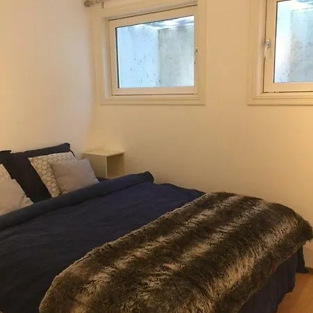 Cozy Basement Near Central Apartament *