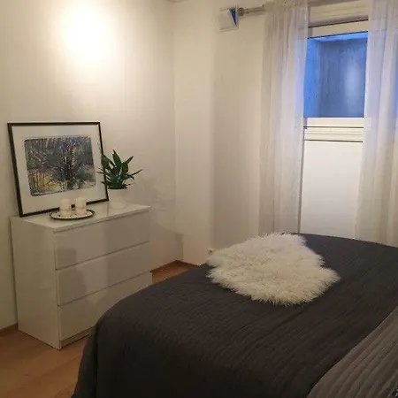 Cozy Basement Near Central Oslo