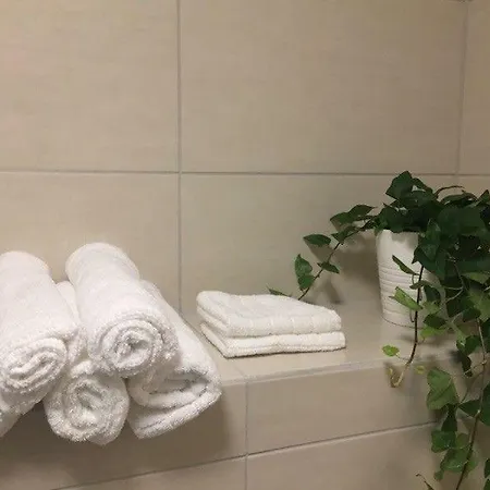 Cozy Basement Near Central Apartment Oslo