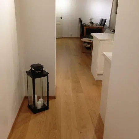 Cozy Basement Near Central Apartament *