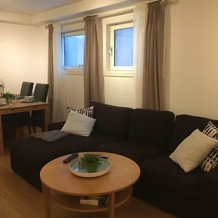 Apartment Cozy Basement Near Central *