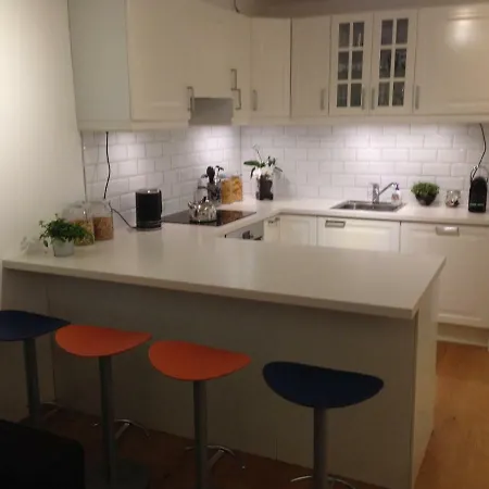 Cozy Basement Near Central Apartament